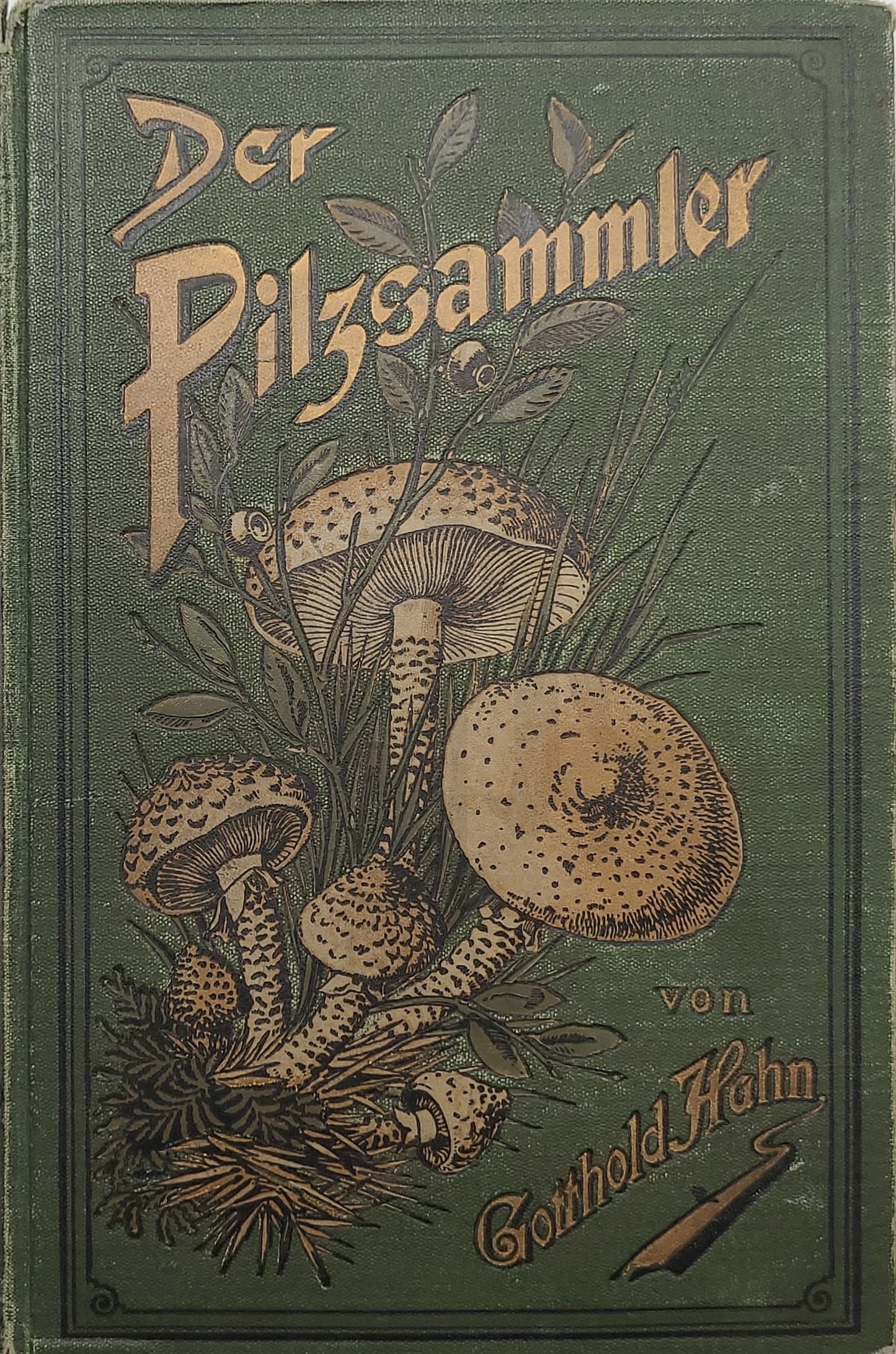 Der Pilzsammler (selten)