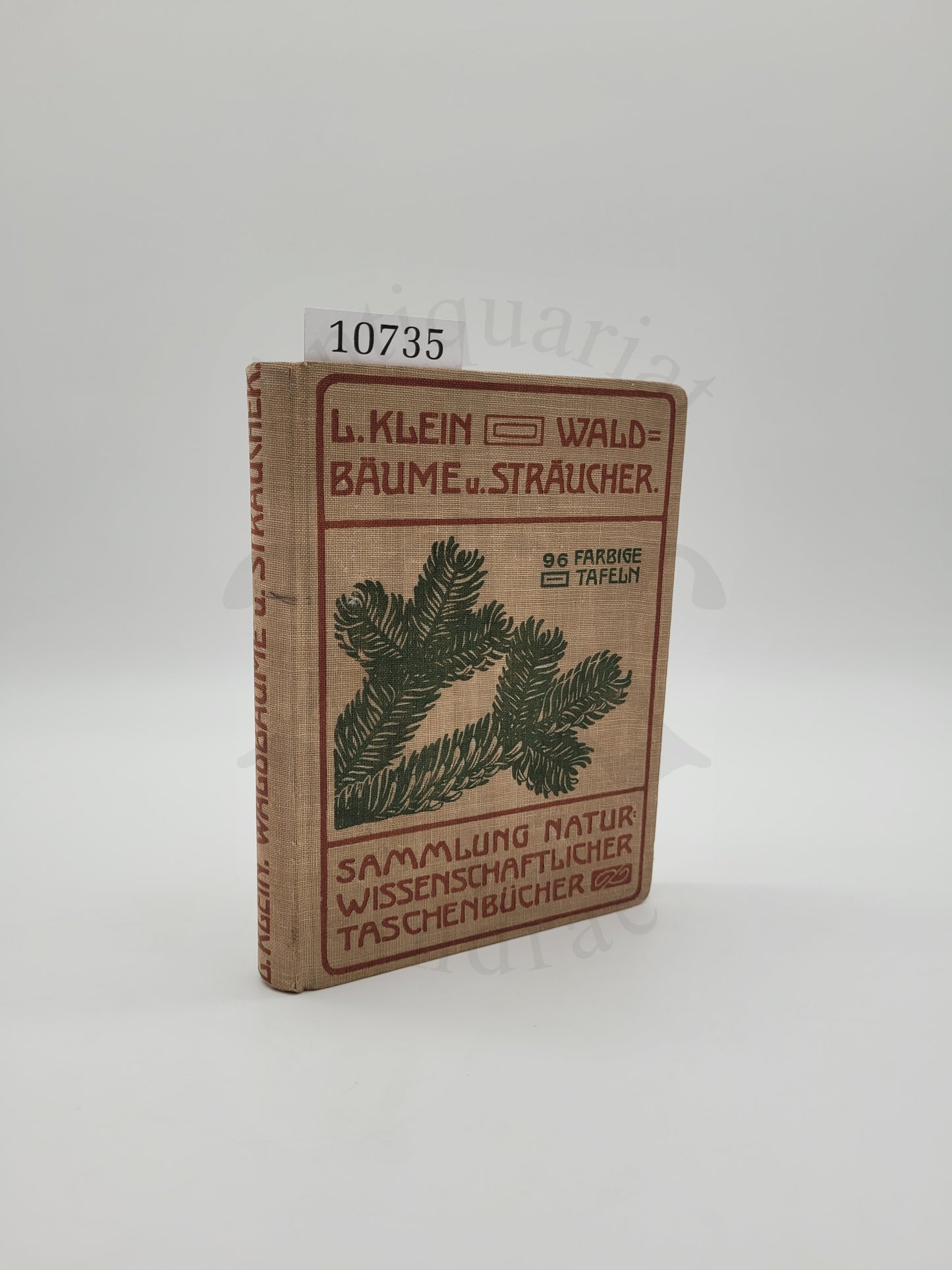 Waldbäume und Sträucher