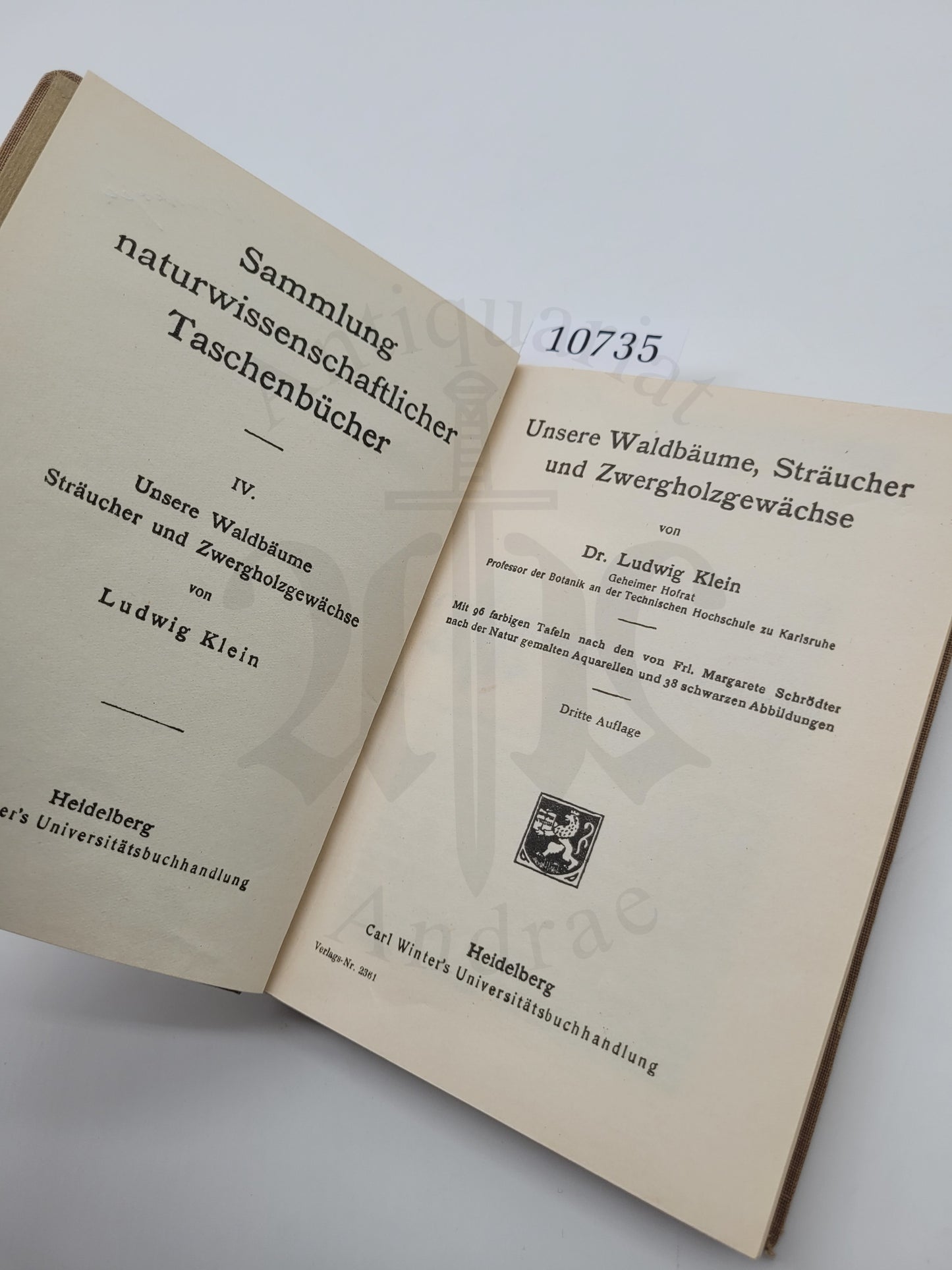 Waldbäume und Sträucher