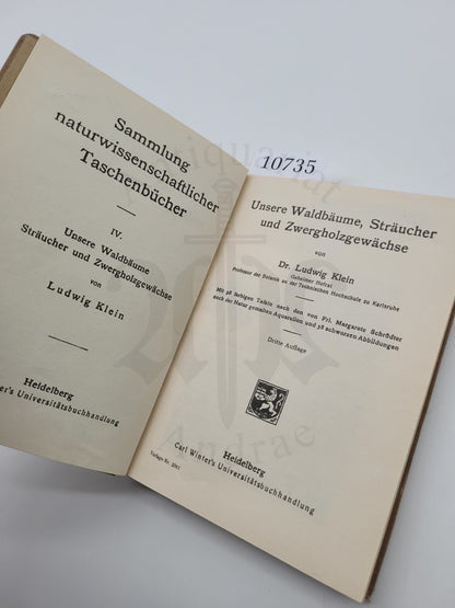 Waldbäume und Sträucher