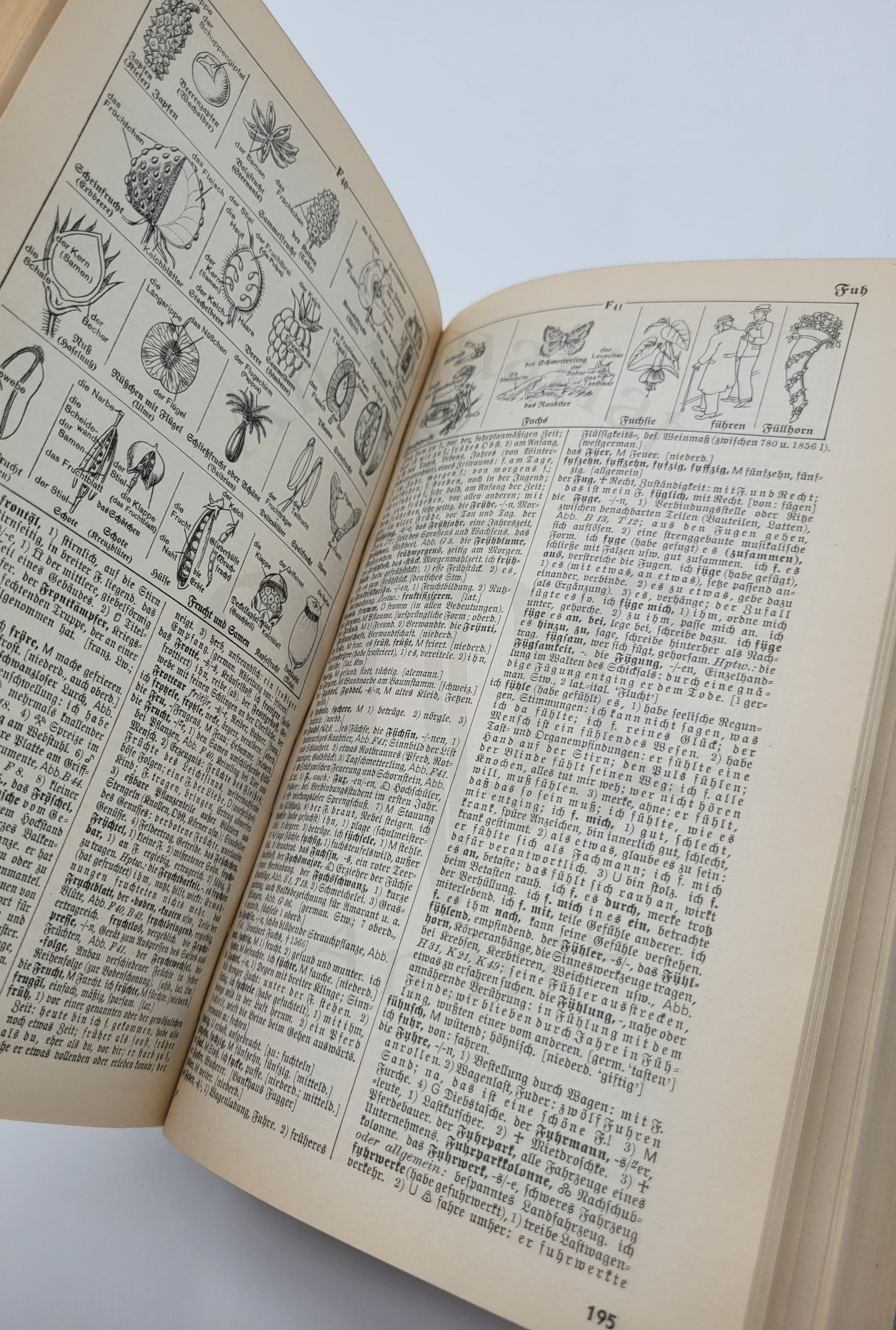 Der Sprach Brockhaus