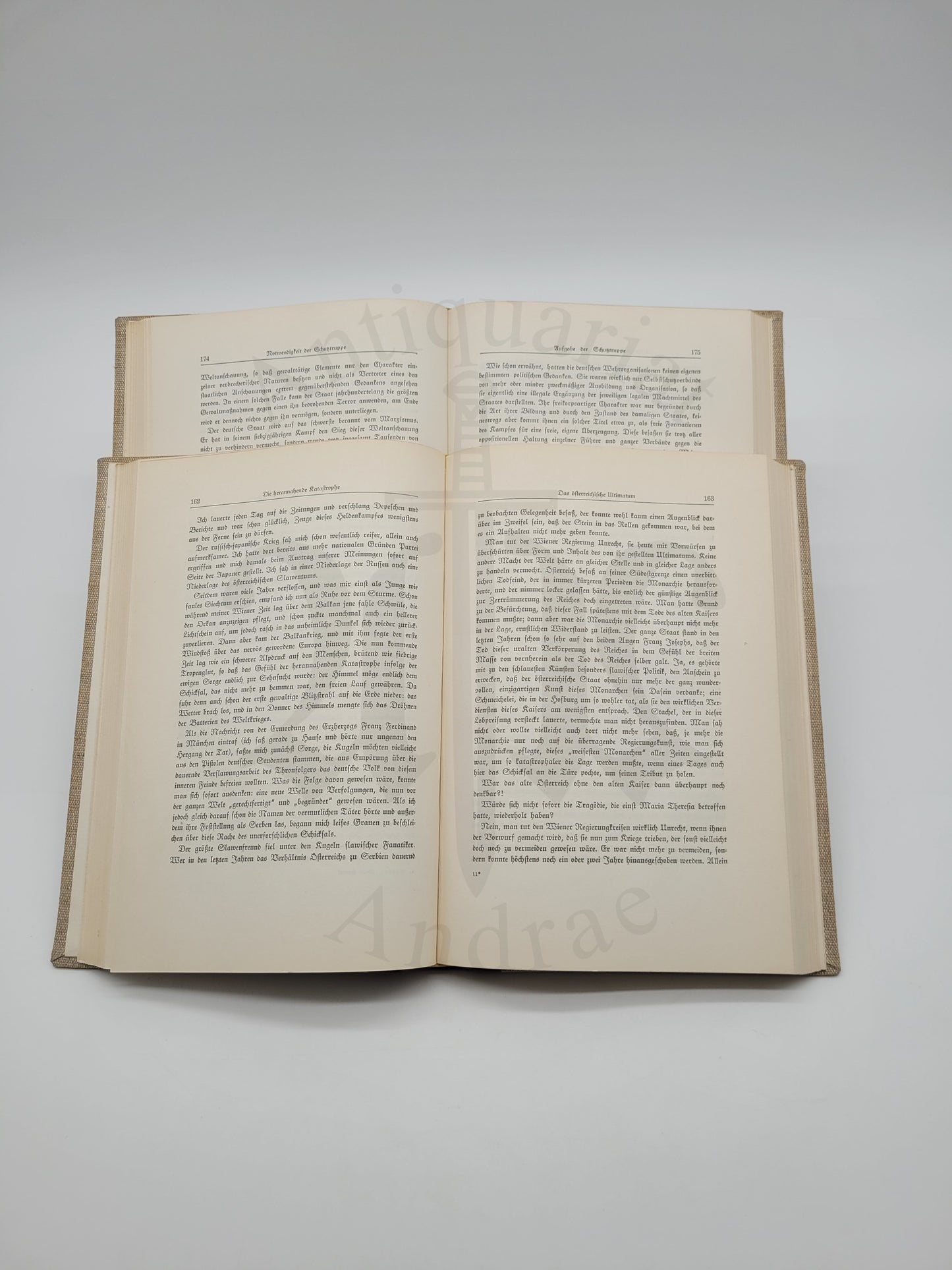 Mein Kampf Geschenkausgabe (hlb. Leder)