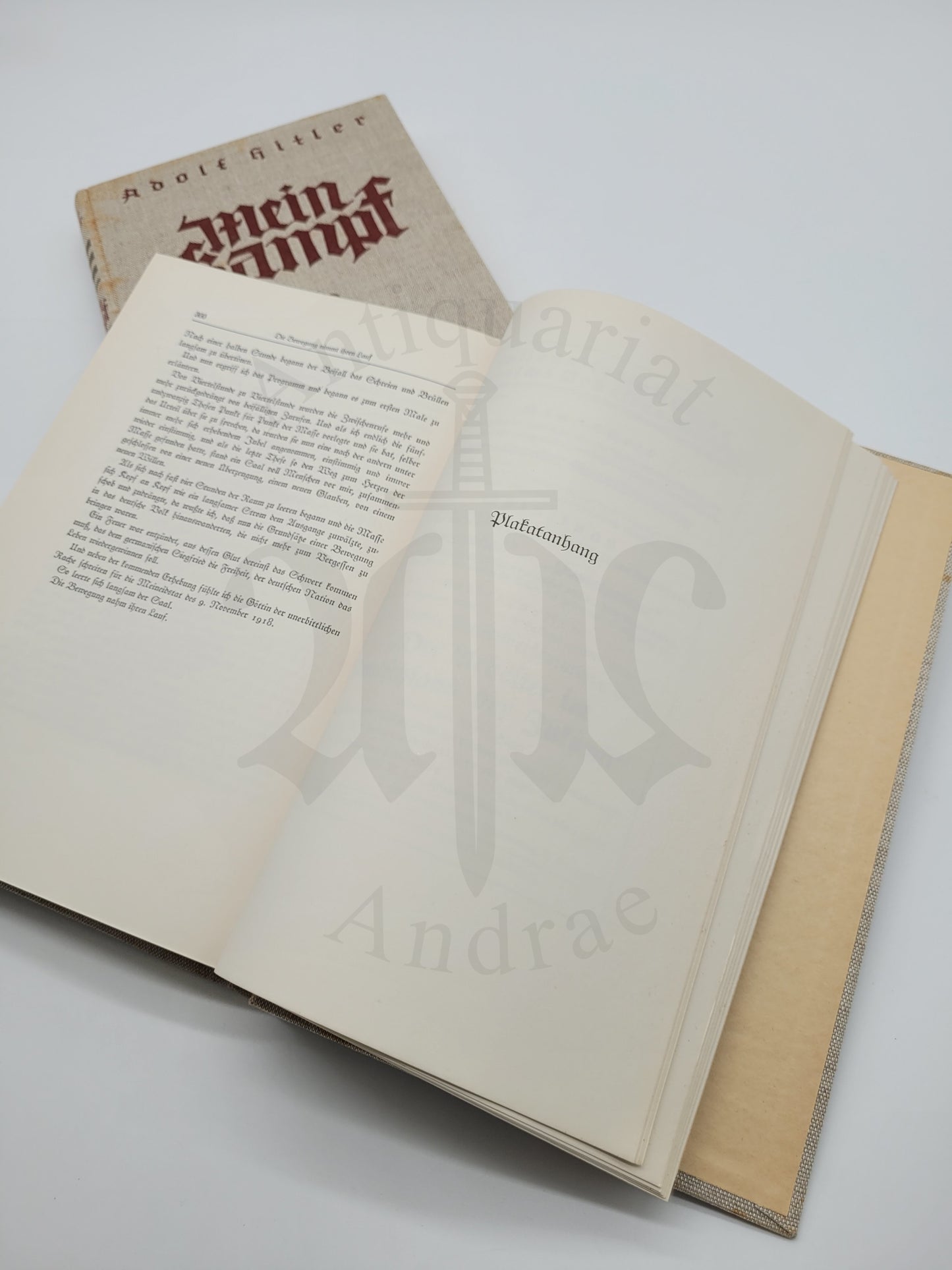 Mein Kampf Geschenkausgabe (Leinen) (+Schutzumschlag) (+Karton)