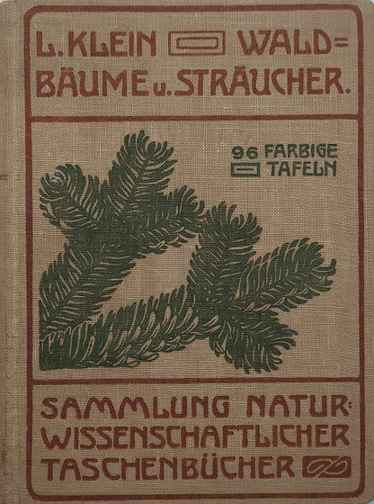 Waldbäume und Sträucher