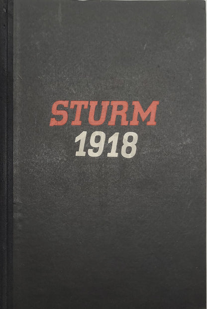 Sturm 1918