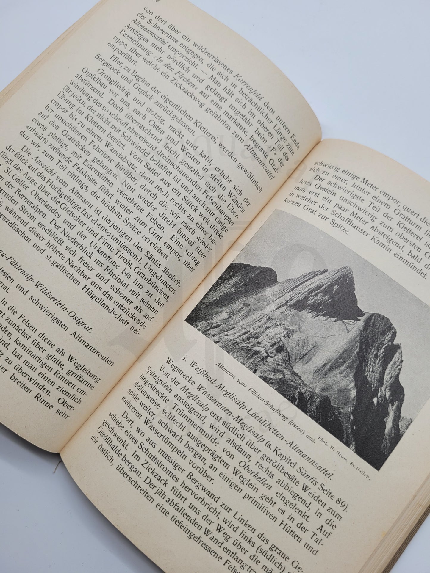 Das Säntis Gebiet (Illust. Führer)