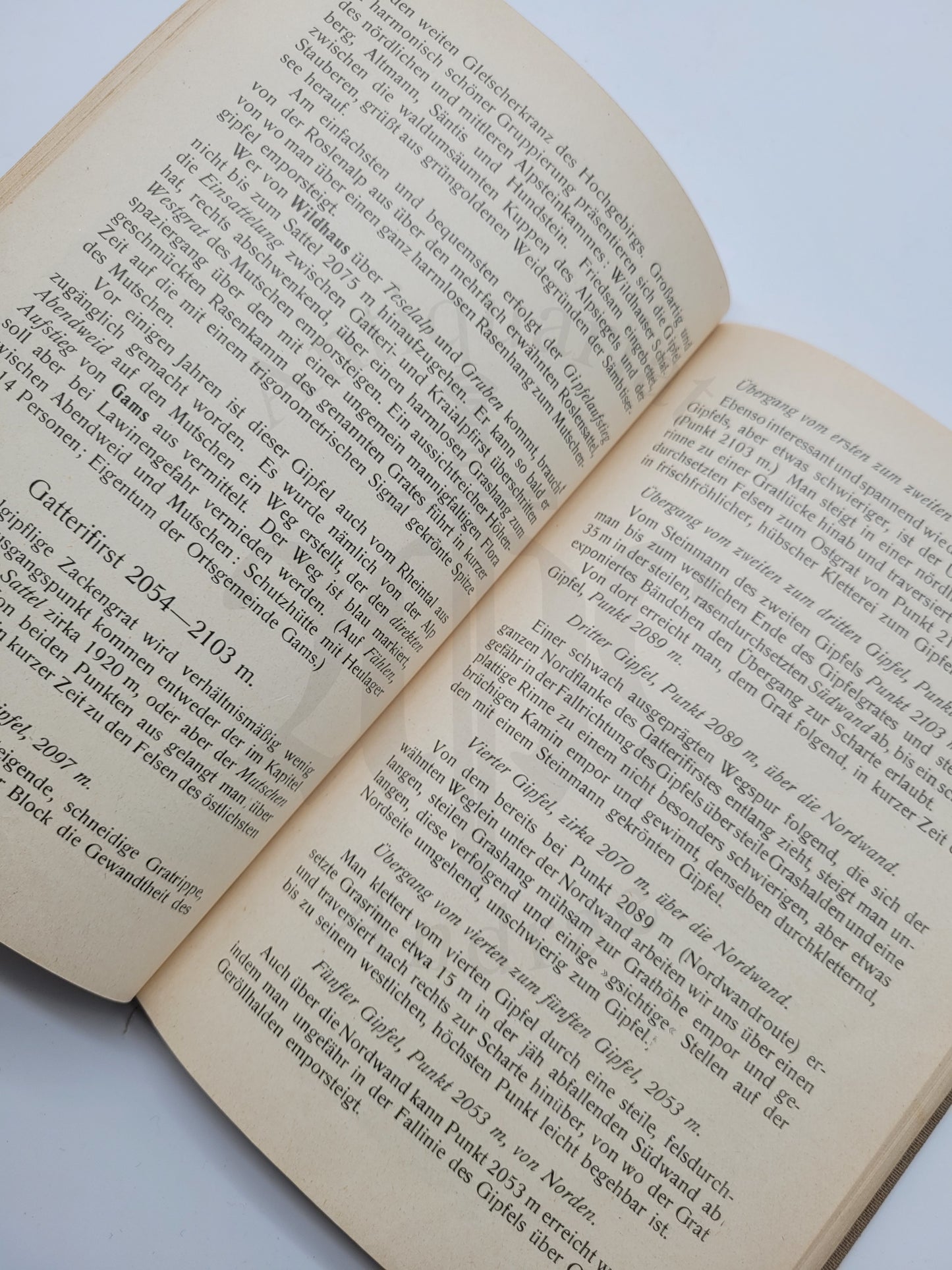 Das Säntis Gebiet (Illust. Führer)