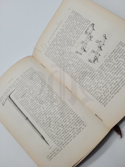 Handbuch des Alpinen Sport