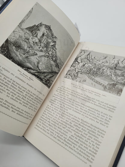 Die Alpen und Ihre Maler