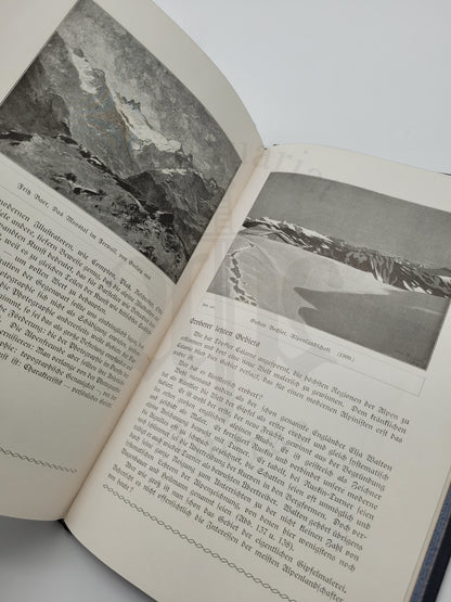 Die Alpen und Ihre Maler