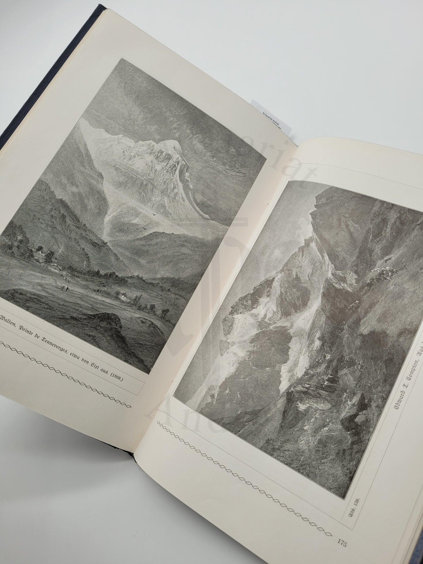 Die Alpen und Ihre Maler