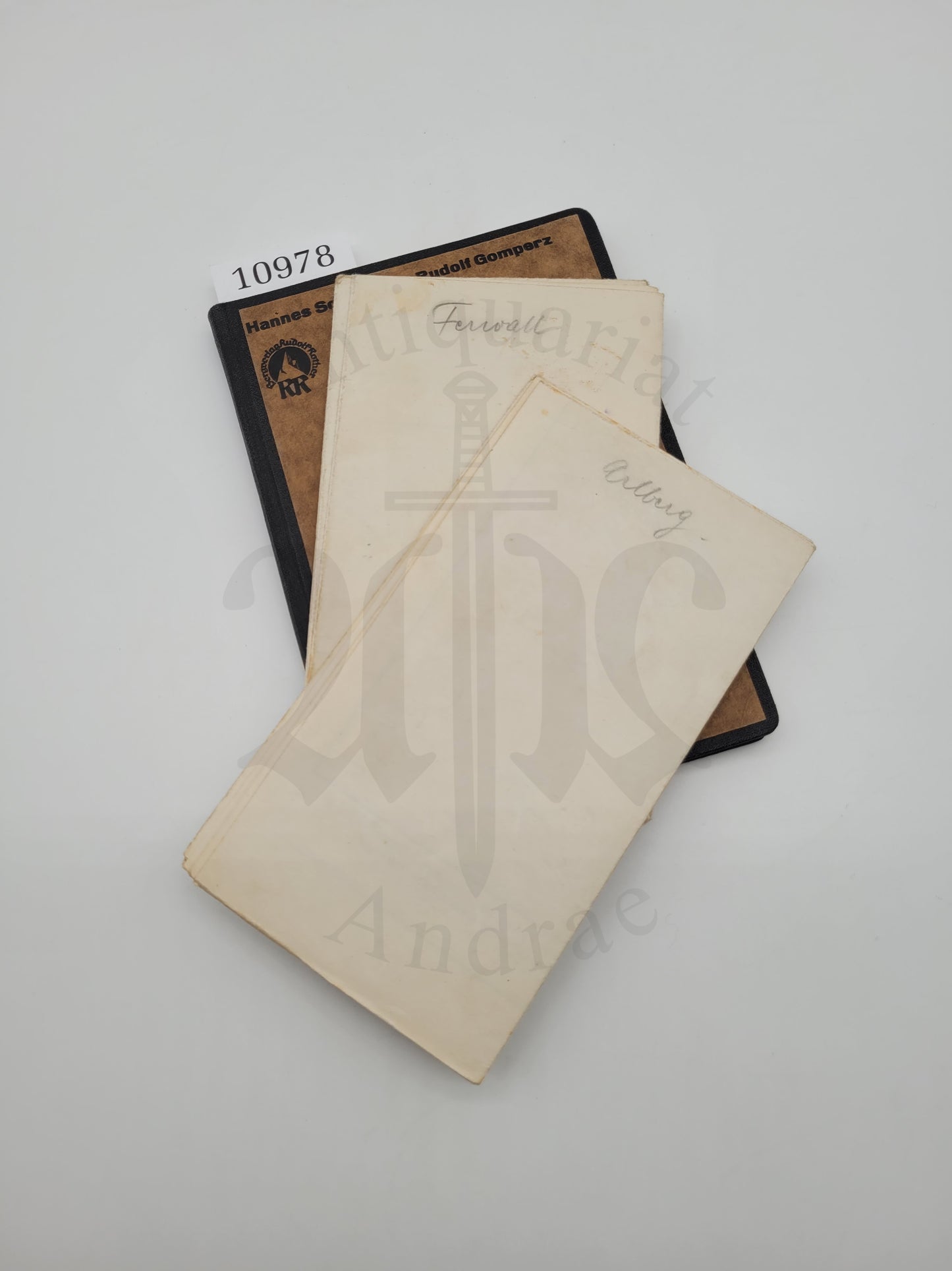 Skiführer für das Arlberggebiet und die Ferwallgruppe (+Karten)