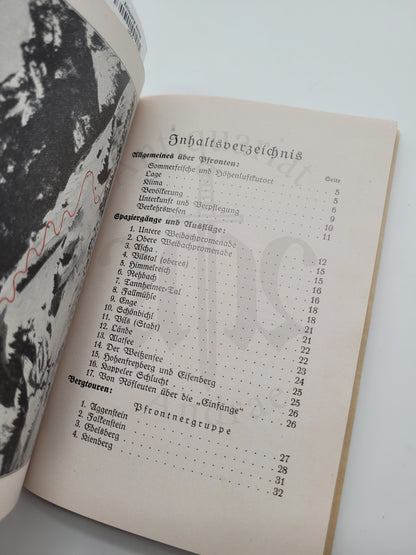 Illustrierter Führer durch Pfronten