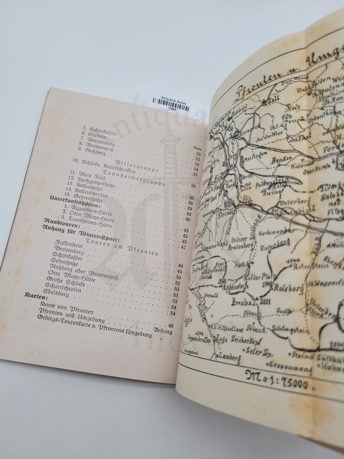 Illustrierter Führer durch Pfronten