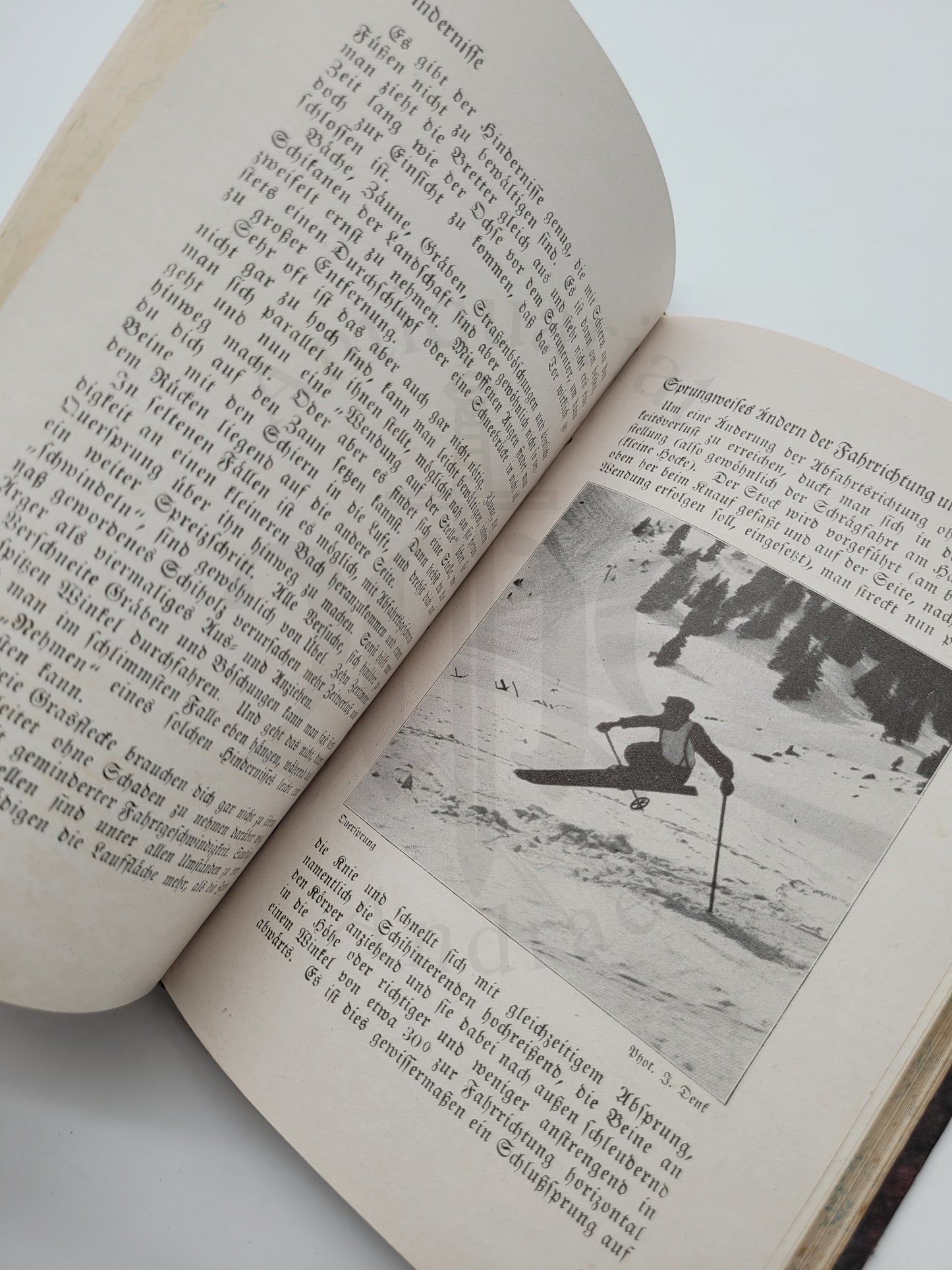 Der Schi (Ski) und seine sportliche Benutzung (Luxus-Ausgabe)