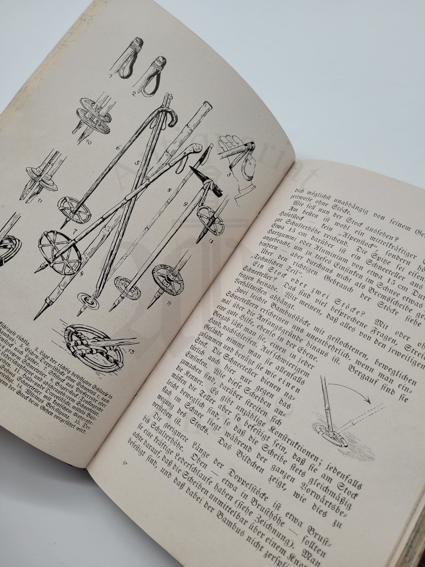 Der Schi (Ski) und seine sportliche Benutzung (Luxus-Ausgabe)