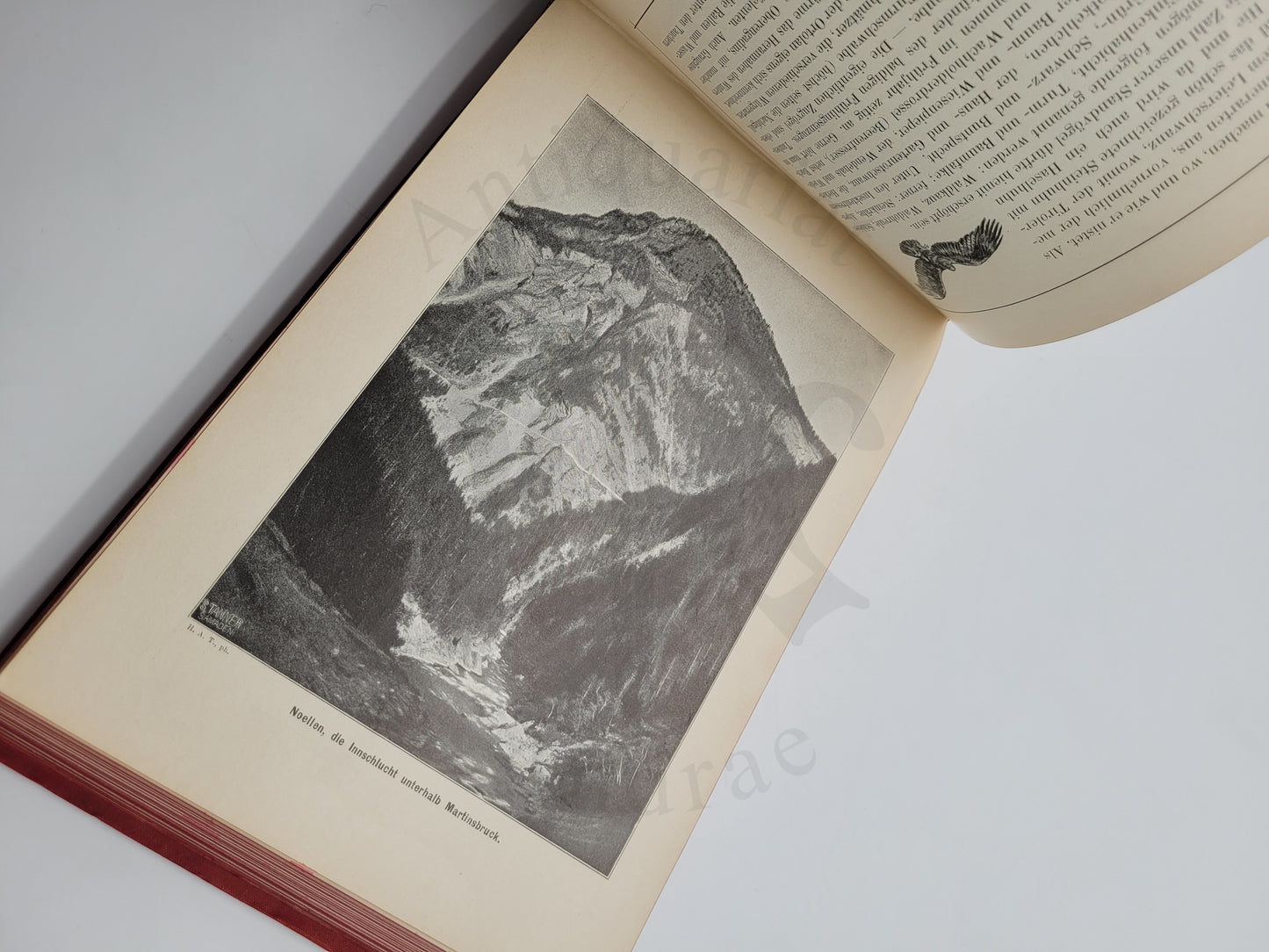 Das Engadin in Wort und Bild