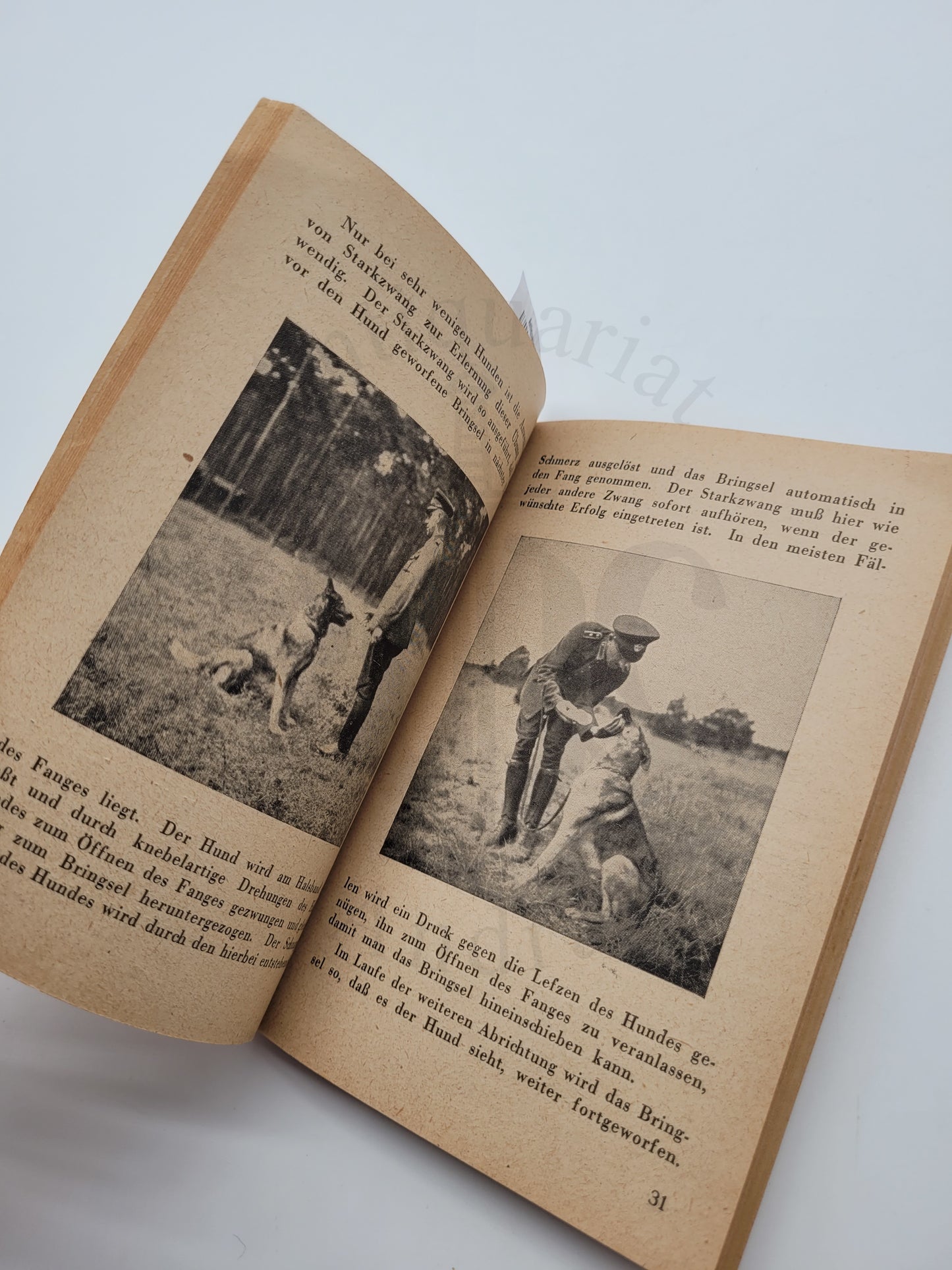 Der Hund im Dienst der Ordnungspolizei