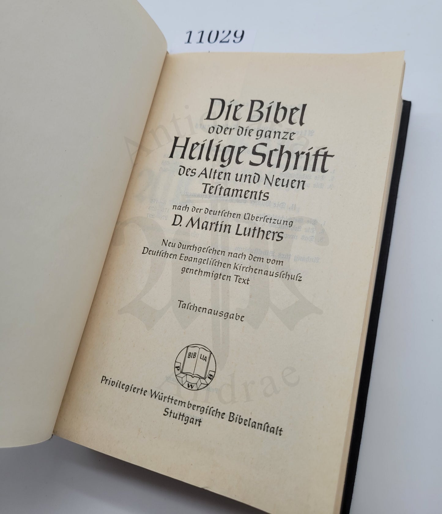 Die heilige Schrift (Bibel)