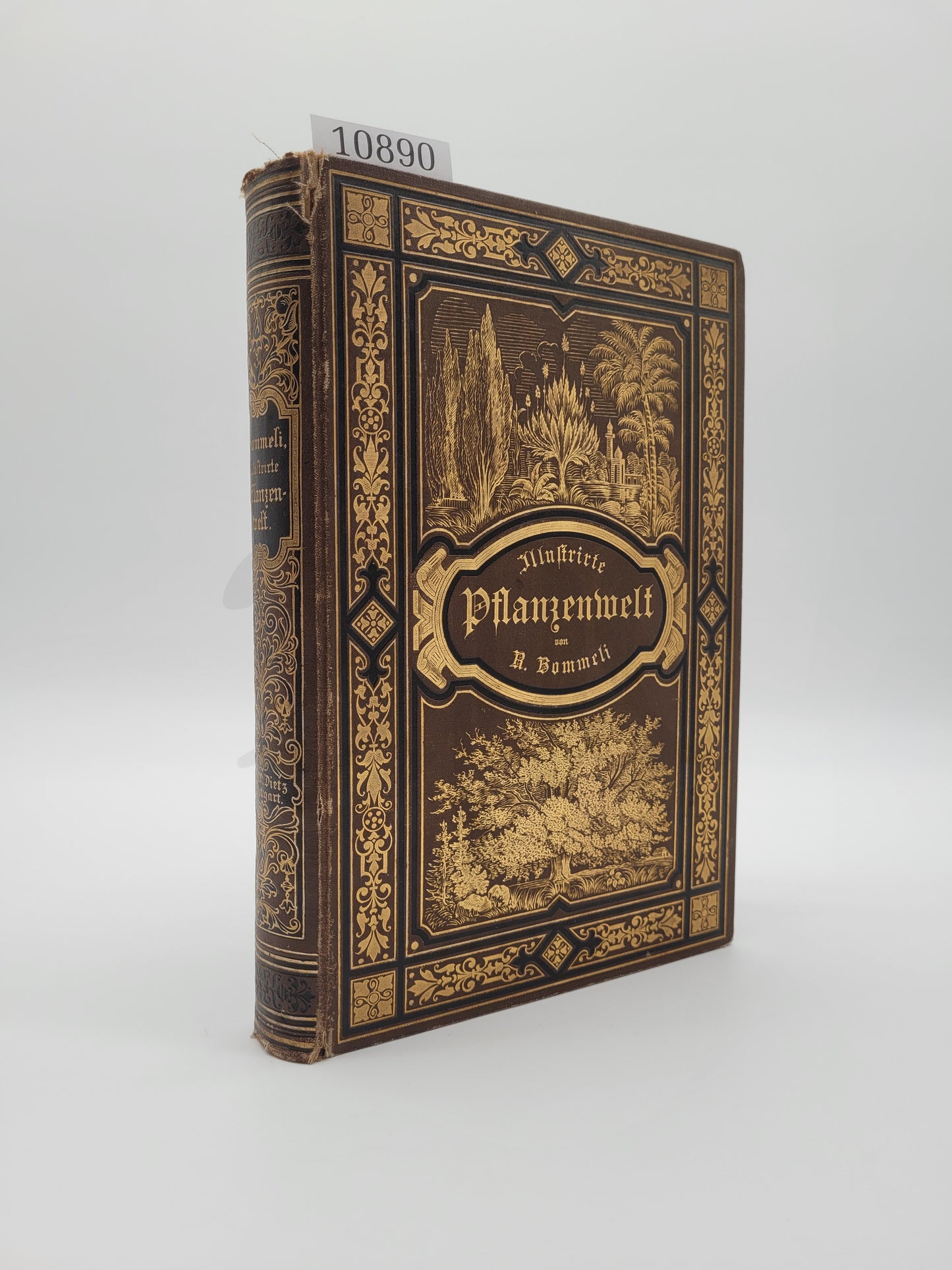 Illustrierte Pflanzenwelt