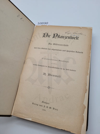 Illustrierte Pflanzenwelt