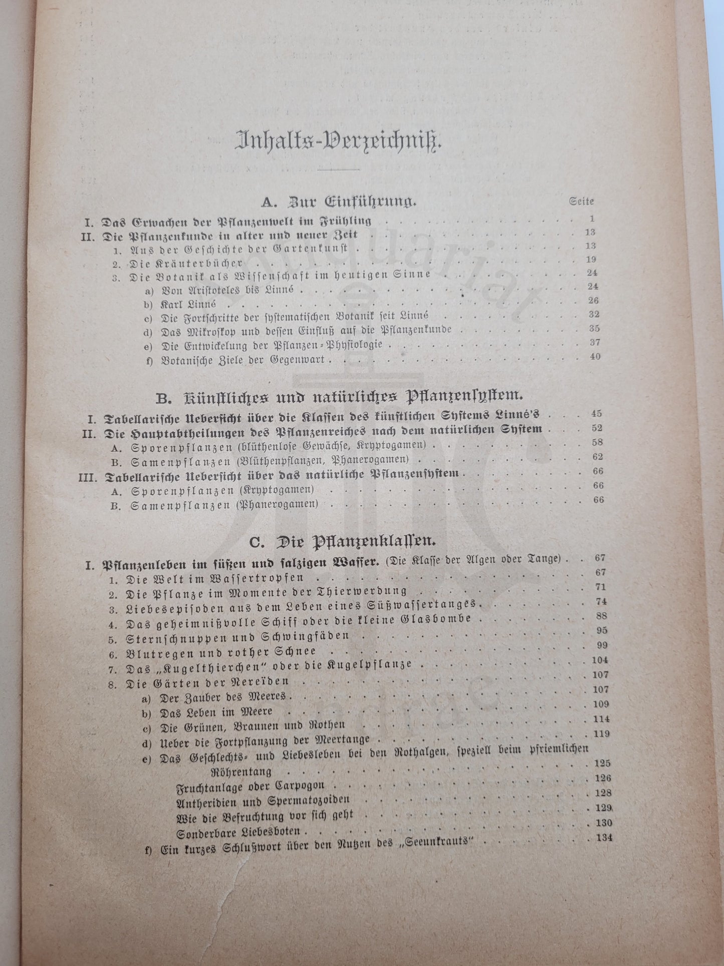 Illustrierte Pflanzenwelt