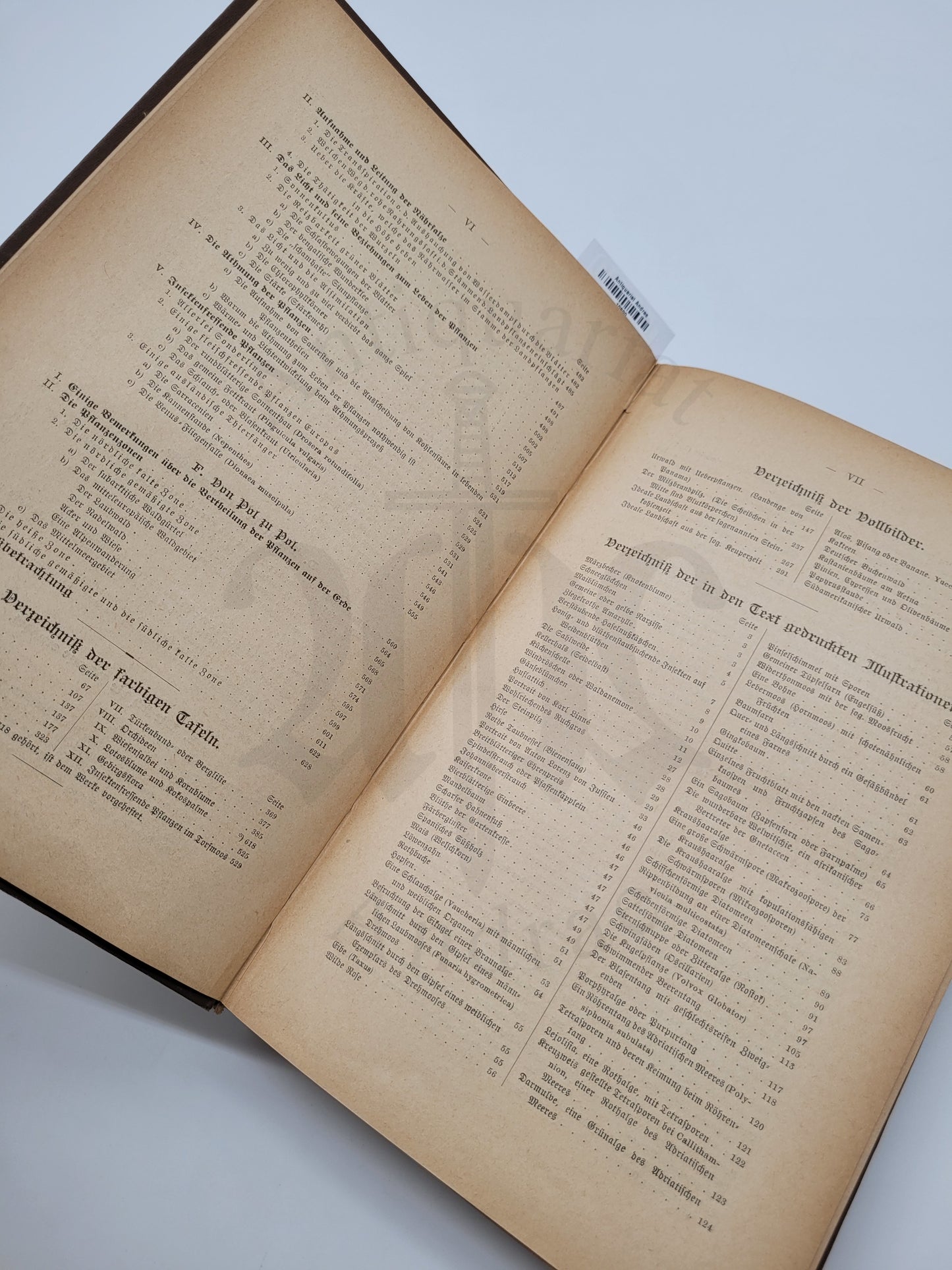 Illustrierte Pflanzenwelt