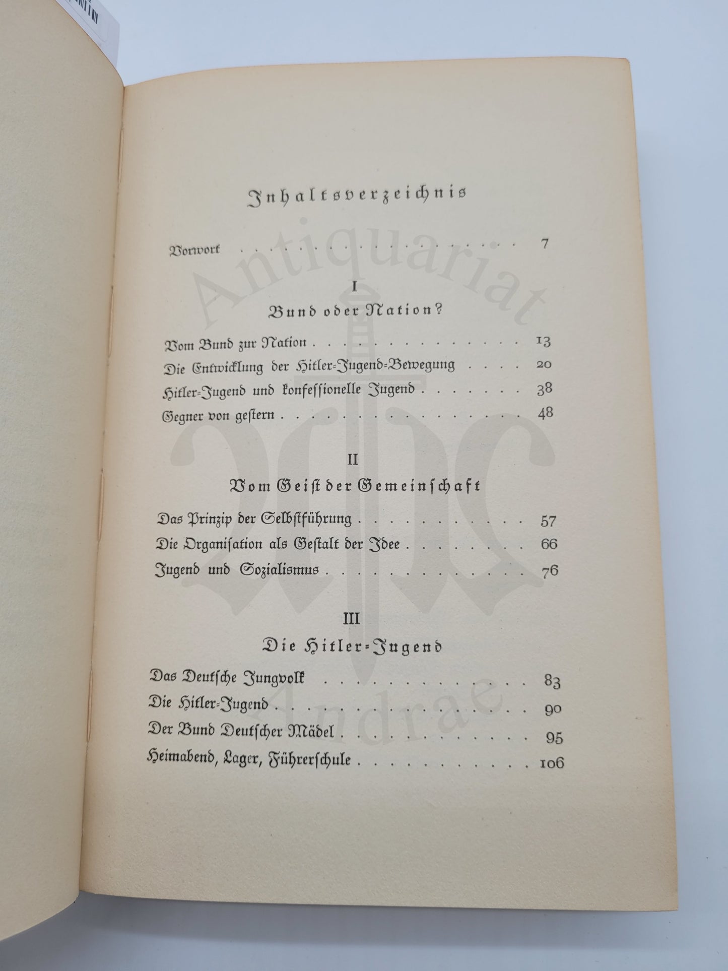Die Hitlerjugend - Idee und Gestalt