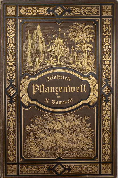 Illustrierte Pflanzenwelt