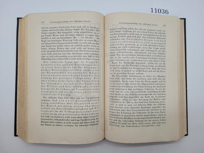 Mein Kampf Volksausgabe 1942 (Druckschrift)