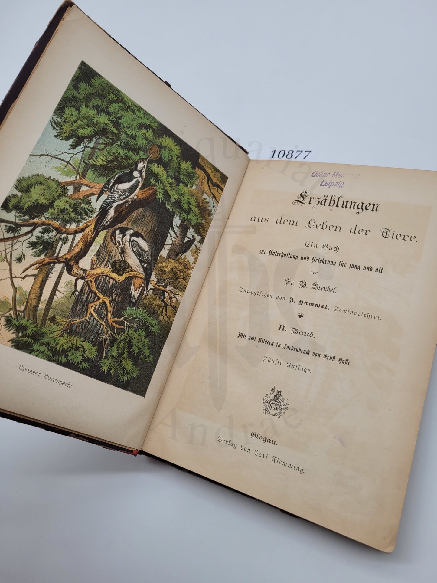 Erzählungen aus dem Leben der Tiere