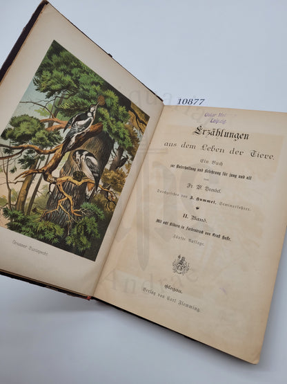 Erzählungen aus dem Leben der Tiere