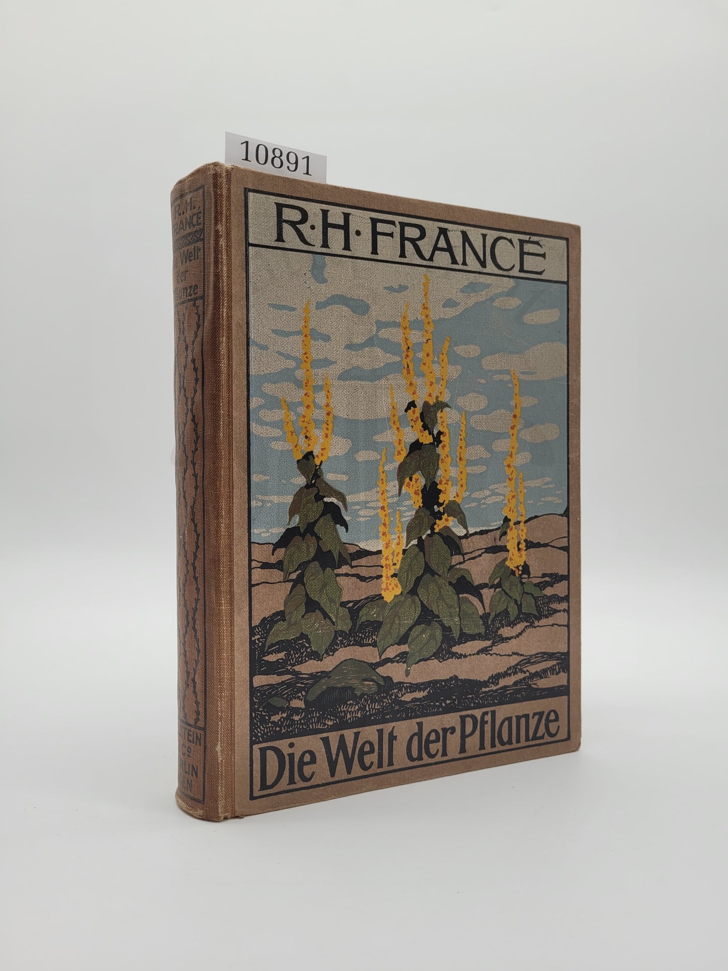 Die Welt der Pflanze