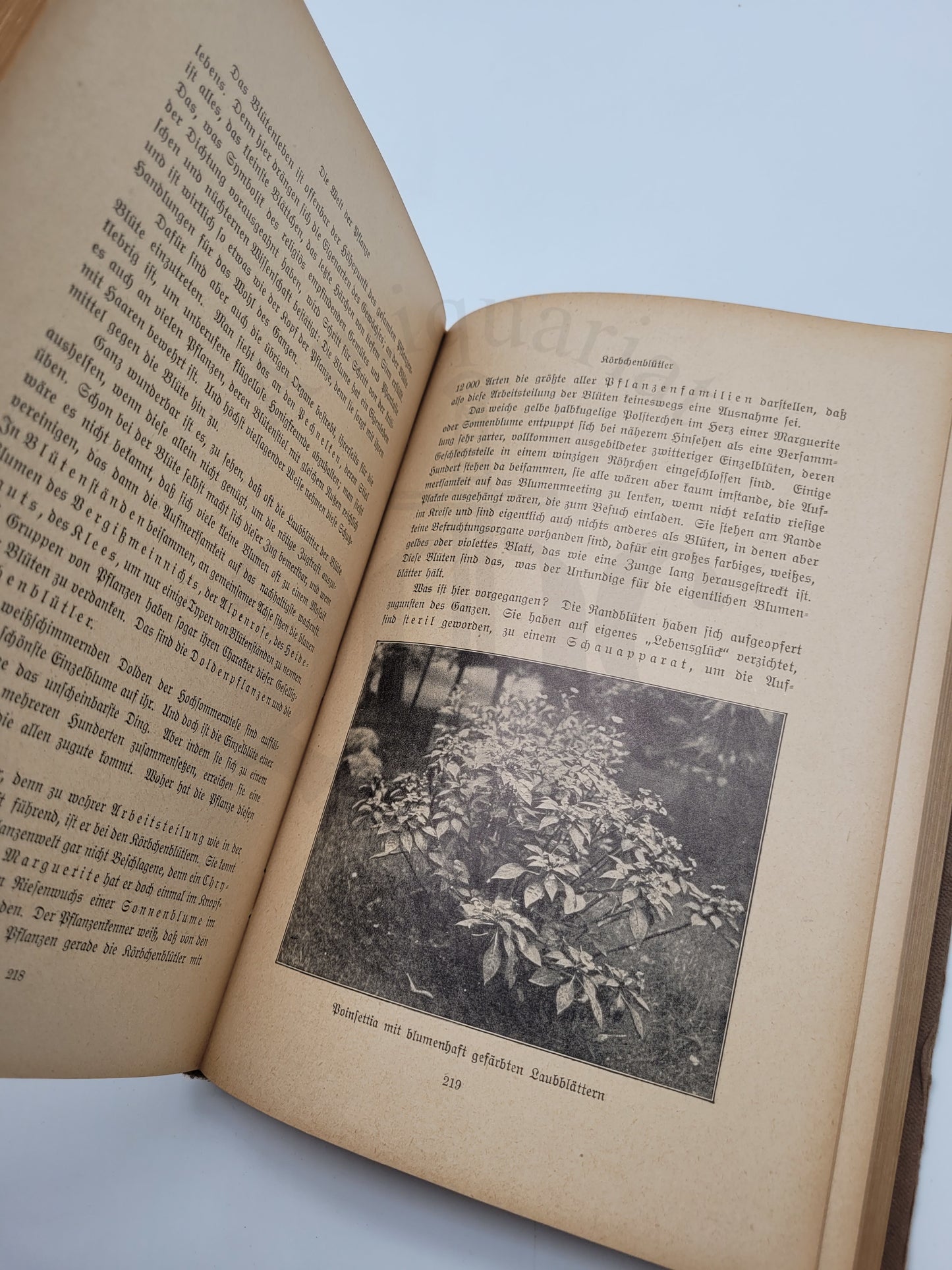 Die Welt der Pflanze
