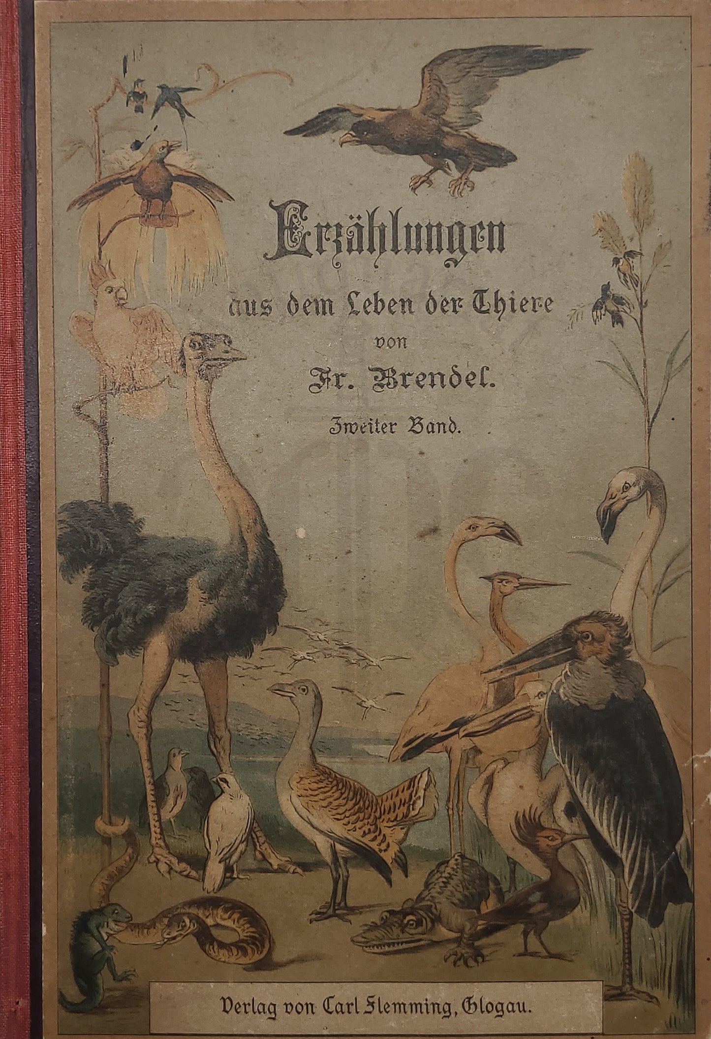Erzählungen aus dem Leben der Tiere