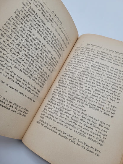 Mein Kampf 1928 3. Auflage