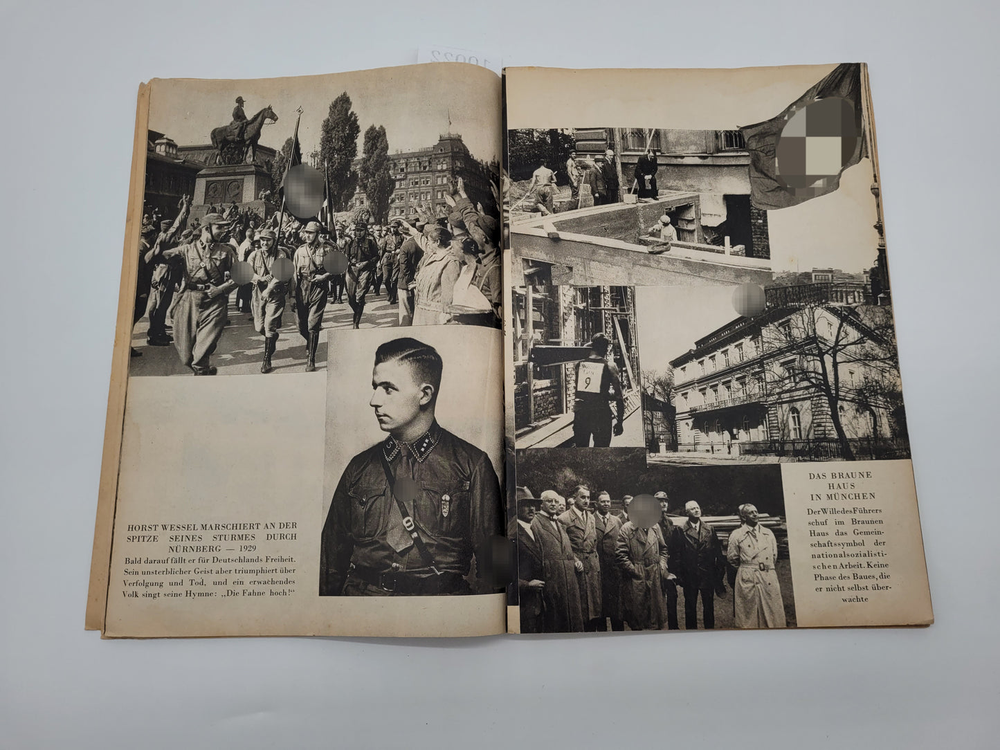 Der Triumpf des Willens (Bilderband)