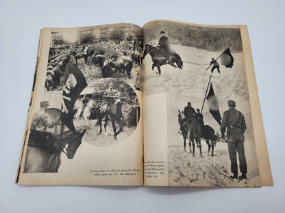 Der Triumpf des Willens (Bilderband)